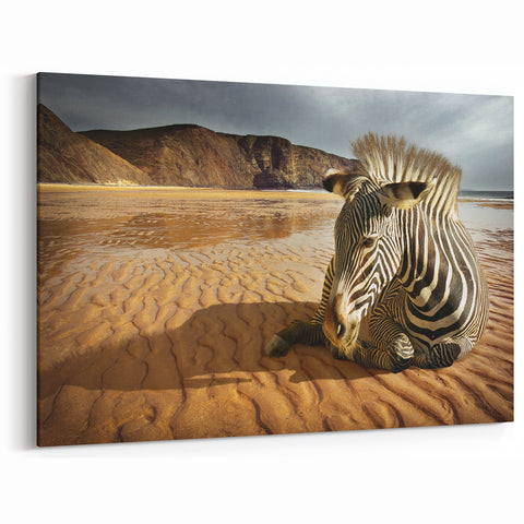 Resting Zebra on Beach - Wildlife Photography Wall Art for Home Decor