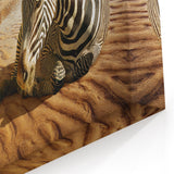 Resting Zebra on Beach - Wildlife Photography Wall Art for Home Decor