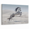 Majestic White Horse in Desert - Wildlife Photography Wall Art