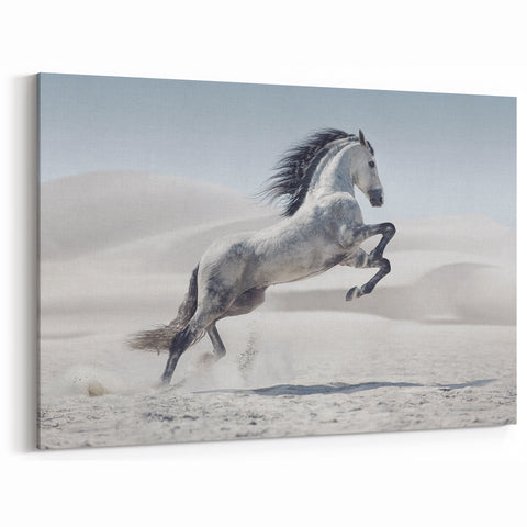 Majestic White Horse in Desert - Wildlife Photography Wall Art