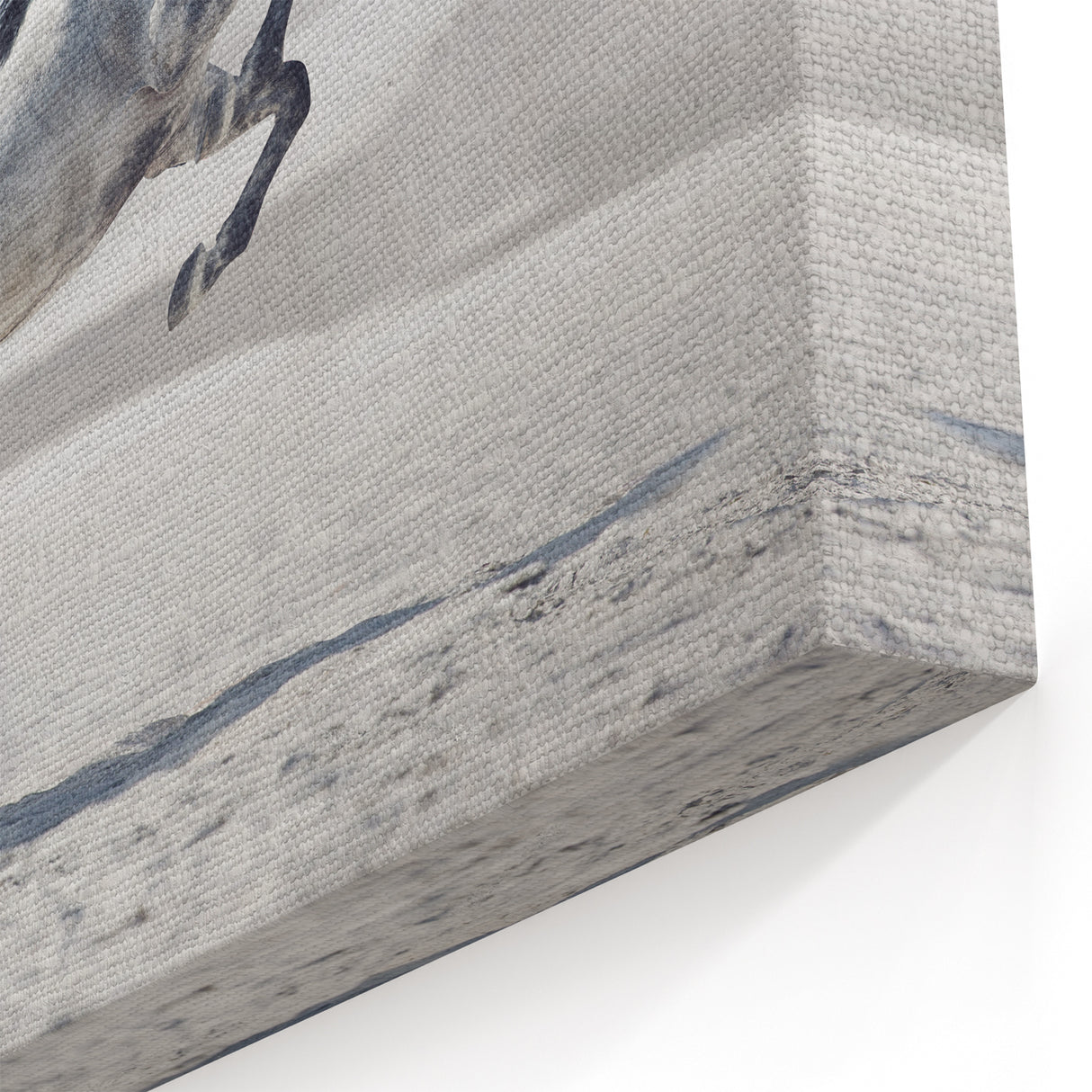 Majestic White Horse in Desert - Wildlife Photography Wall Art