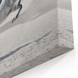 Majestic White Horse in Desert - Wildlife Photography Wall Art