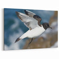 Graceful Gull in Flight - Wildlife Photography Wall Art for Decor