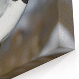 Graceful Gull in Flight - Wildlife Photography Wall Art for Decor