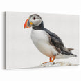 Vibrant Puffin Portrait - Wildlife Photography Wall Art for Decor