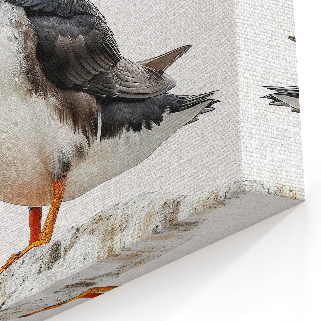 Vibrant Puffin Portrait - Wildlife Photography Wall Art for Decor