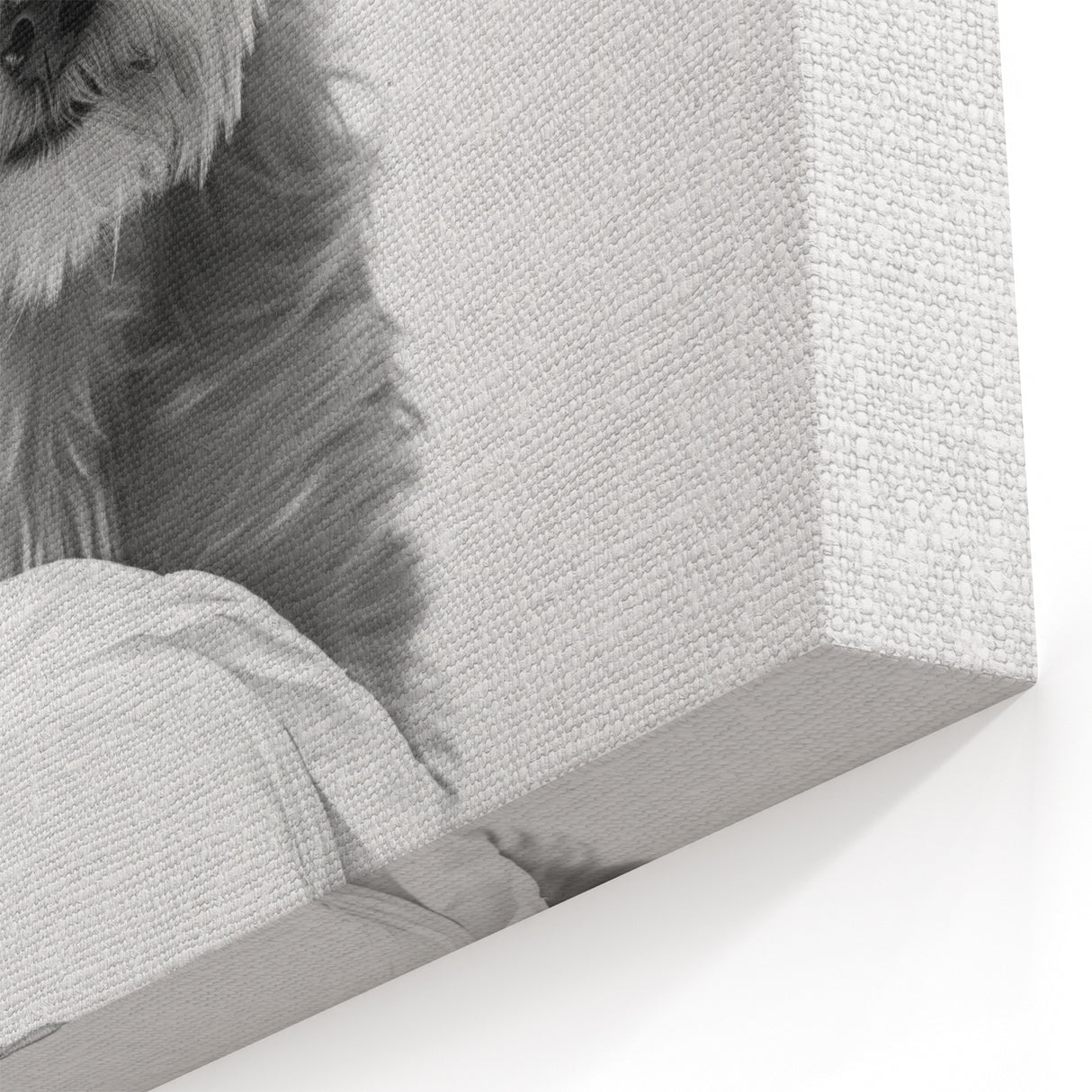 Bathroom Wall Art - Adorable Dog with Toilet Paper Roll