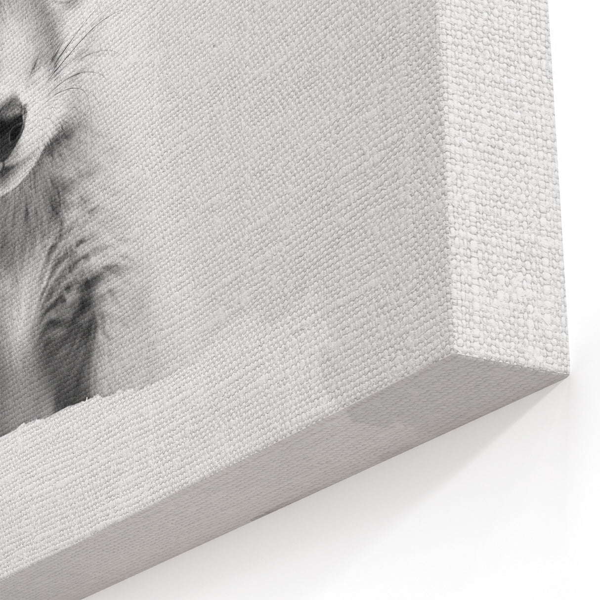 Bathroom Wall Decor - Cute Fox Artwork