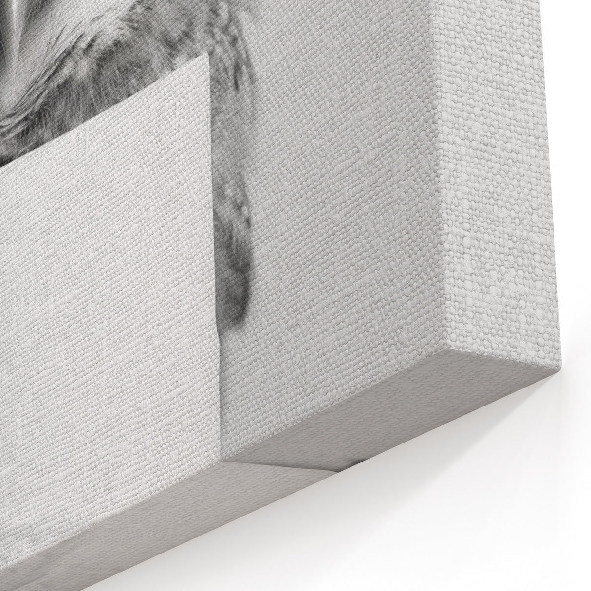 Bathroom Canvas Art - Cute Owl with Toilet Paper Roll