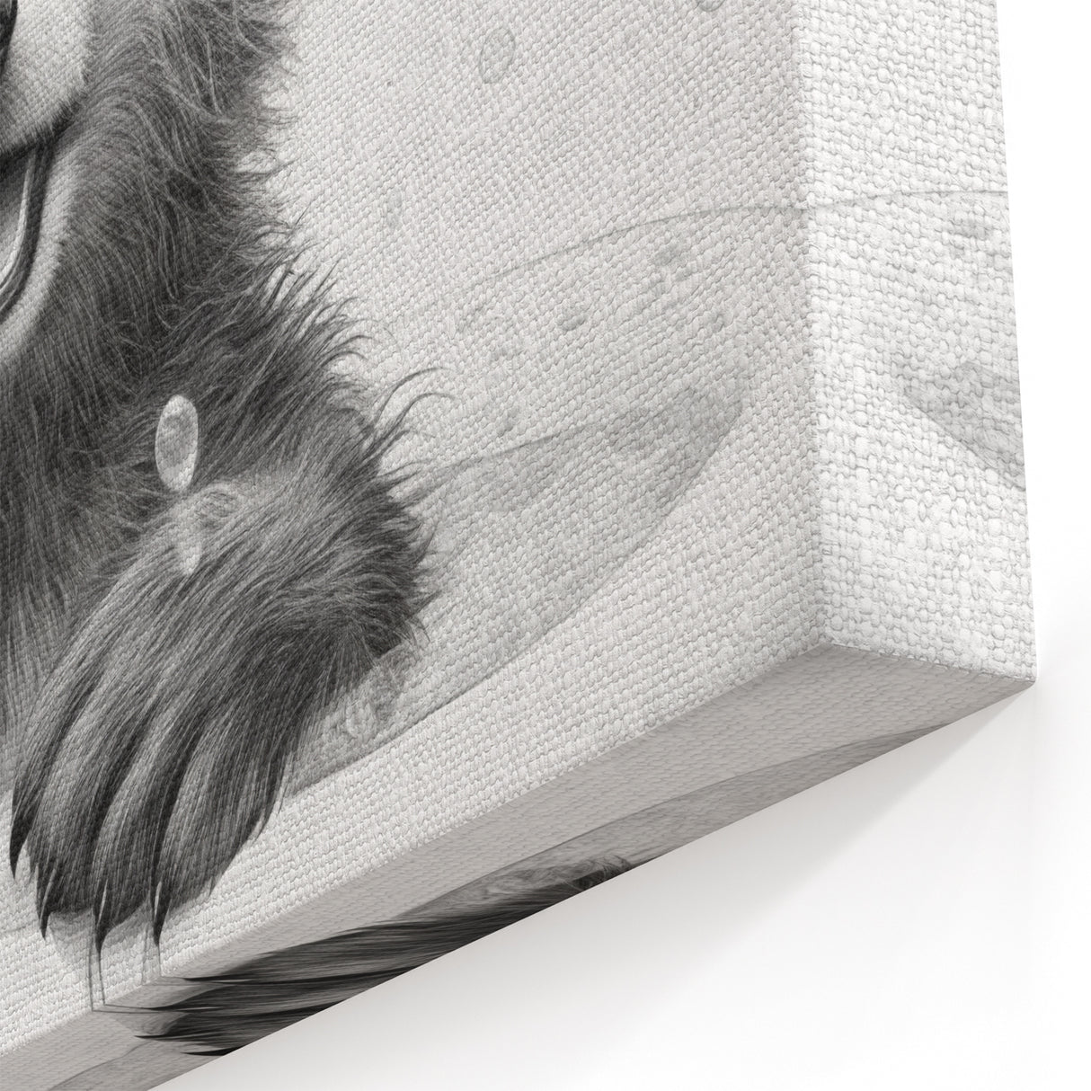 Bathroom Art Prints - Playful Bear in Bathtub