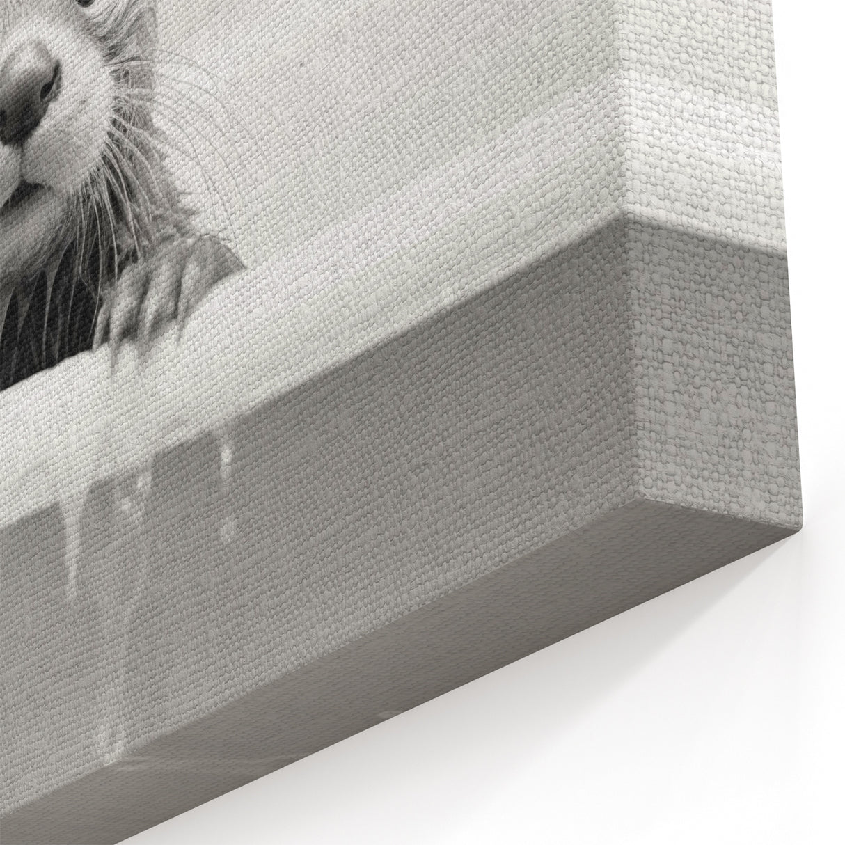 Bathroom Wall Decor - Adorable Otter in Bathtub