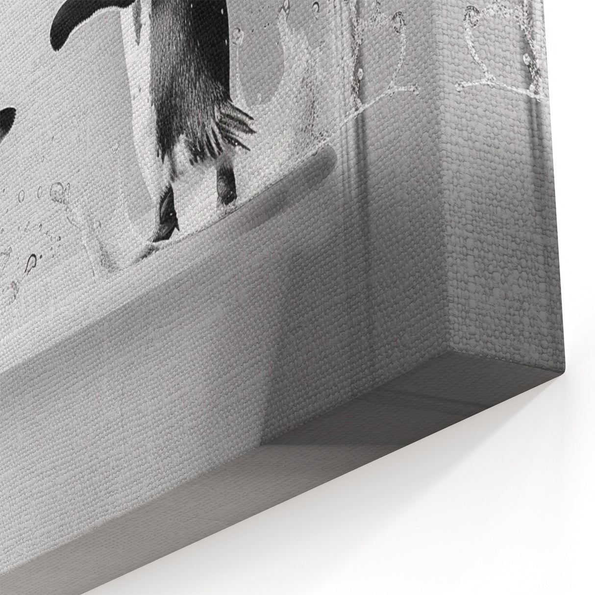 Bathroom Wall Art - Playful Penguins in Bathtub