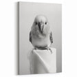 Bathroom Wall Art - Charming Bird with Toilet Paper