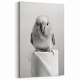 Bathroom Wall Art - Charming Bird with Toilet Paper