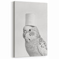 Bathroom Wall Art - Bird with Toilet Paper Hat