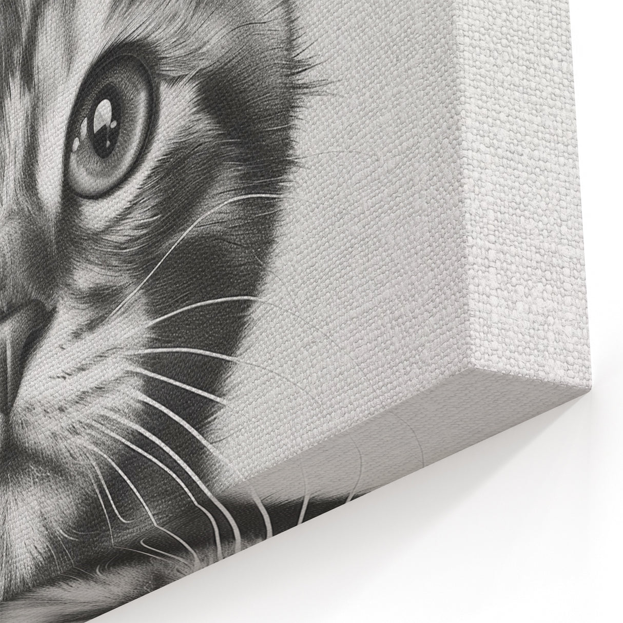 Bathroom Wall Art - Cat with Toilet Paper Hat