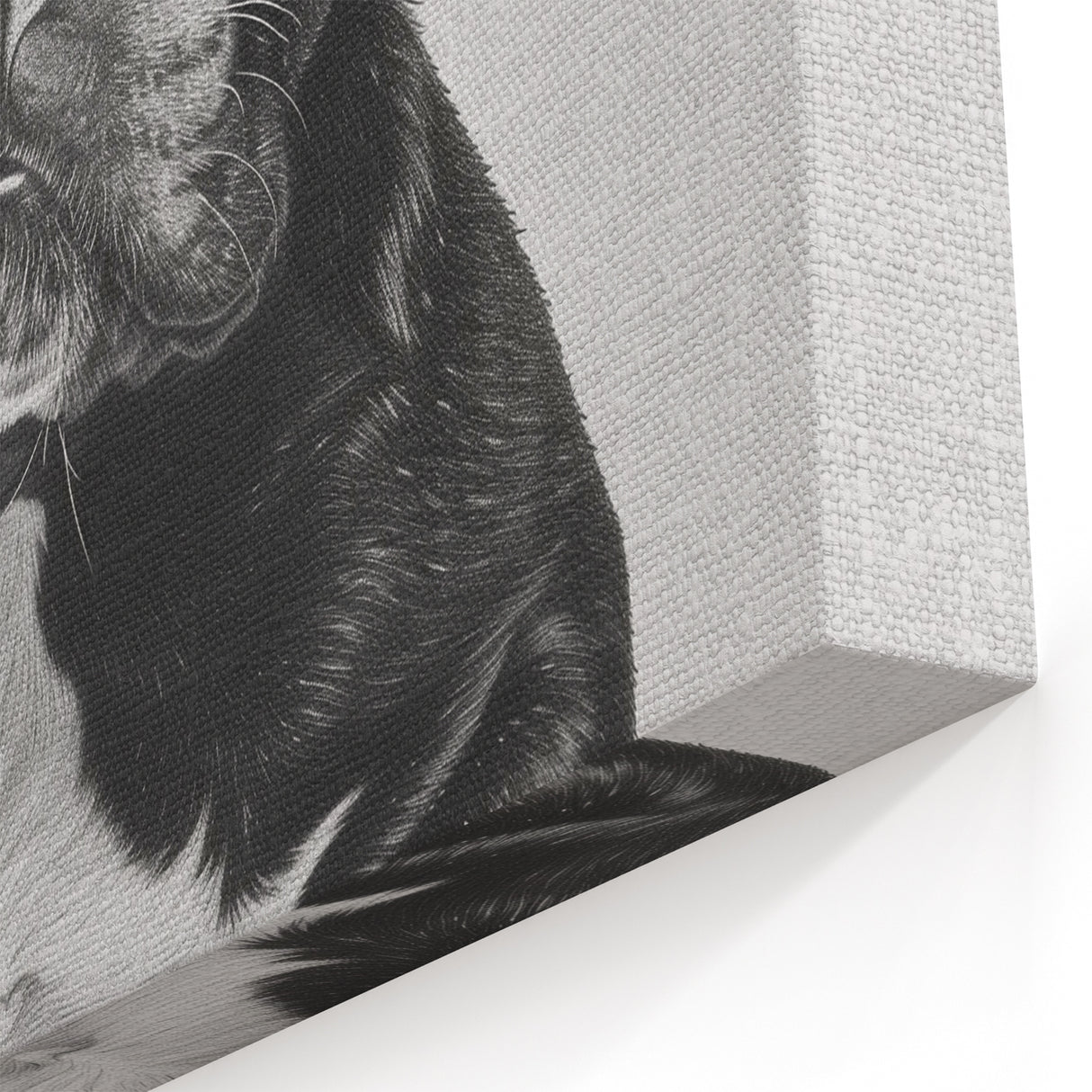 French Bulldog Bathroom Wall Art - Bold Black and White Decor