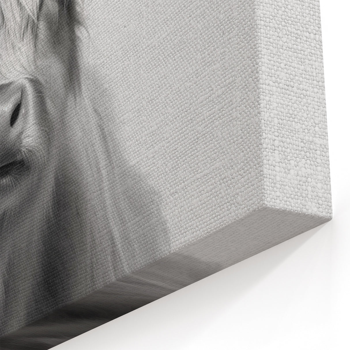 Highland Cow Bathroom Wall Art - Minimalist Black and White Decor