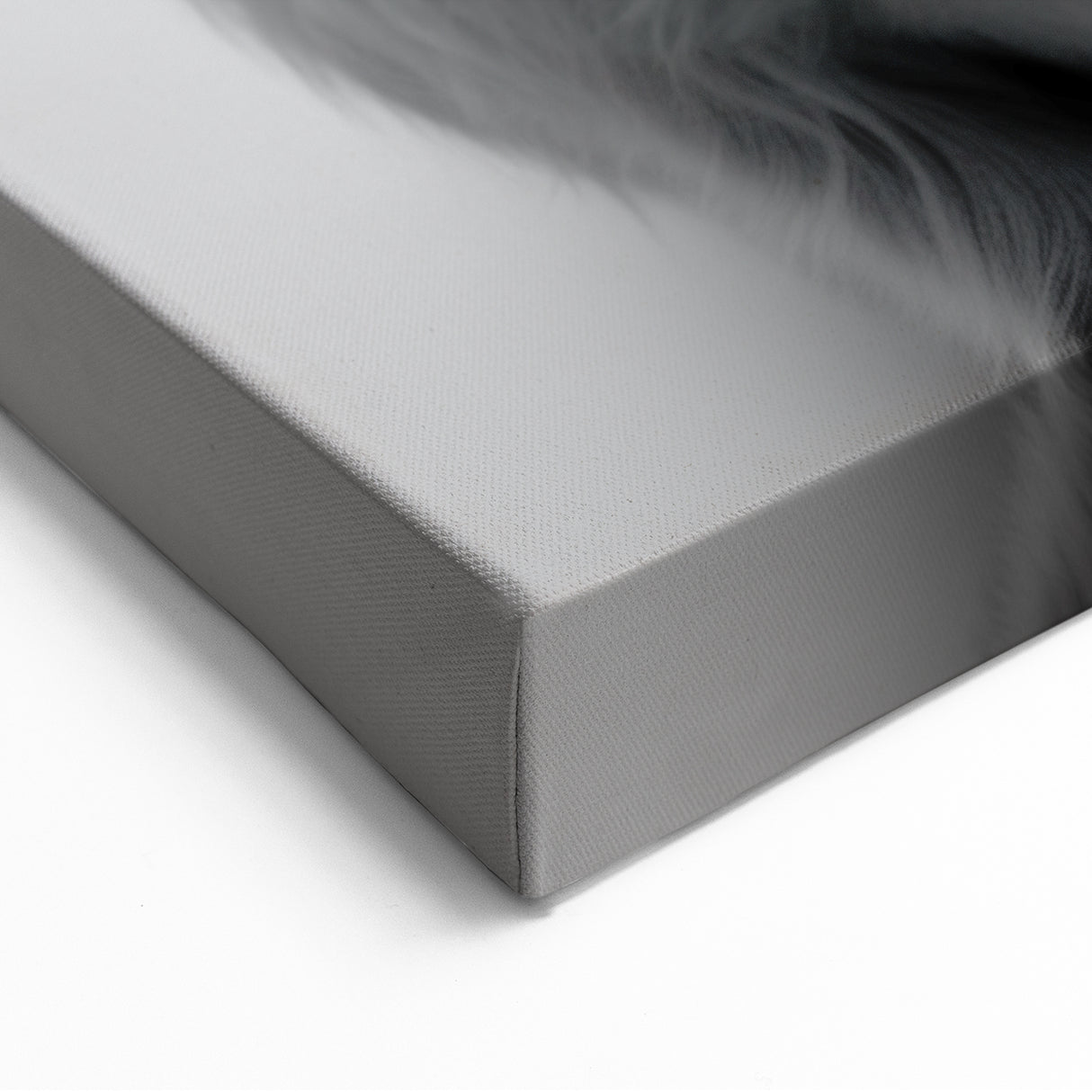 Highland Cow Bathroom Wall Art - Minimalist Black and White Decor