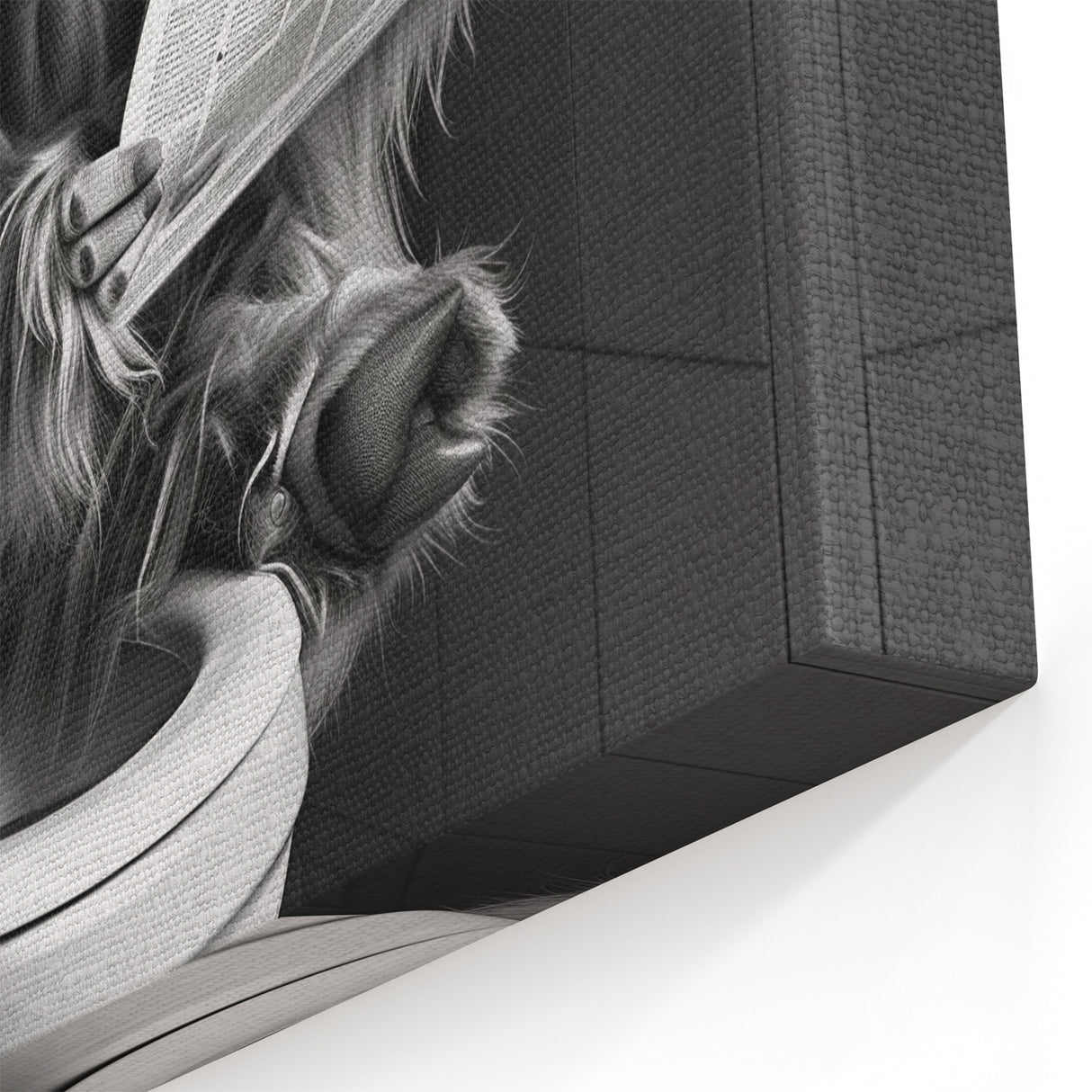 Highland Cow Bathroom Wall Art - Fun Black and White Decor