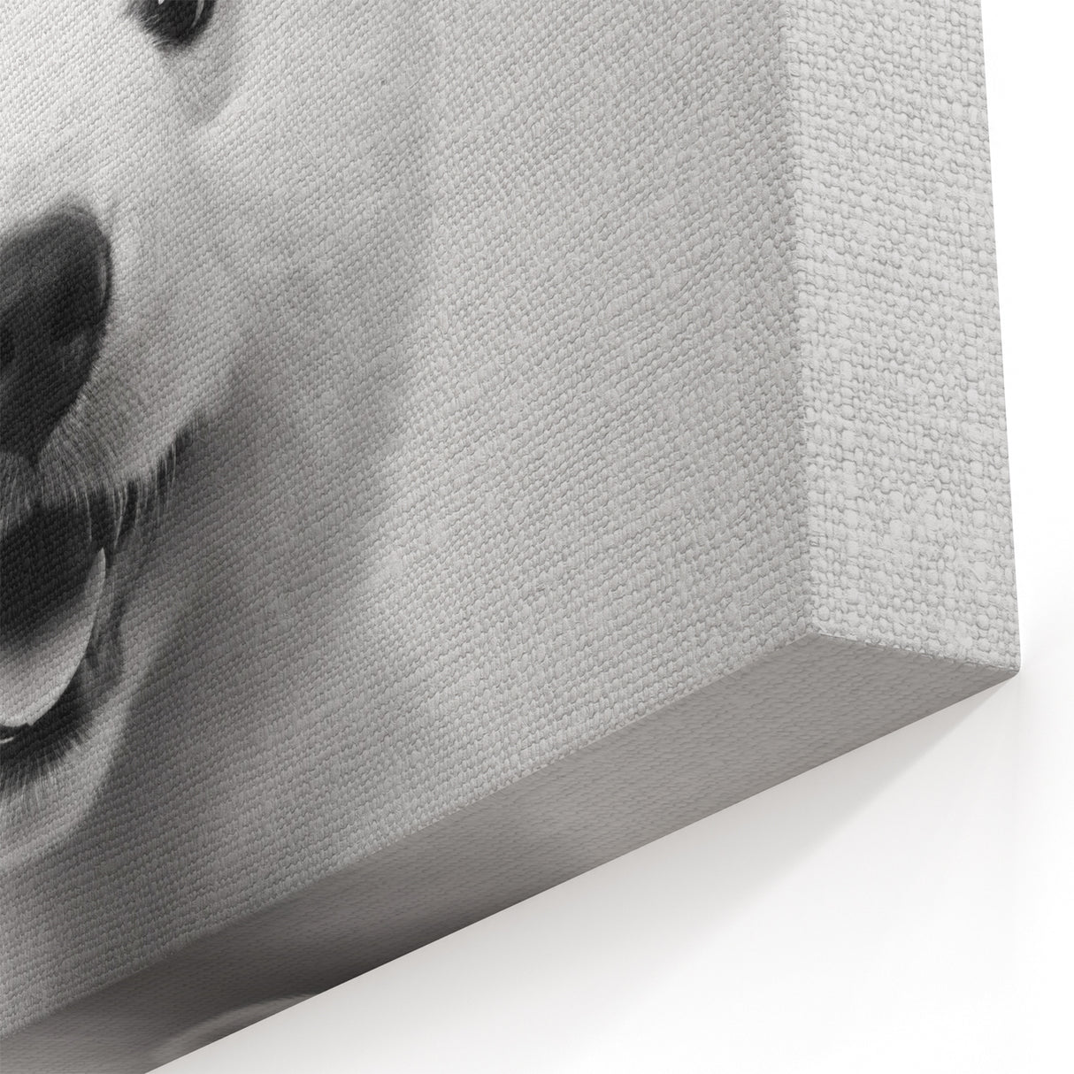 Smiling Polar Dog Bathroom Wall Art - Minimalist Black and White Decor