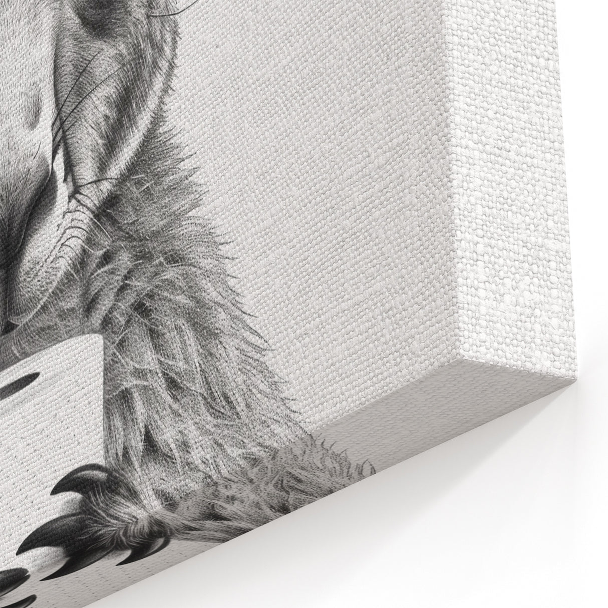 Kangaroo Bathroom Wall Art - Minimalist Black and White Decor