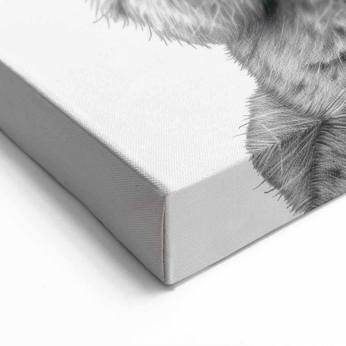 Kangaroo Bathroom Wall Art - Minimalist Black and White Decor