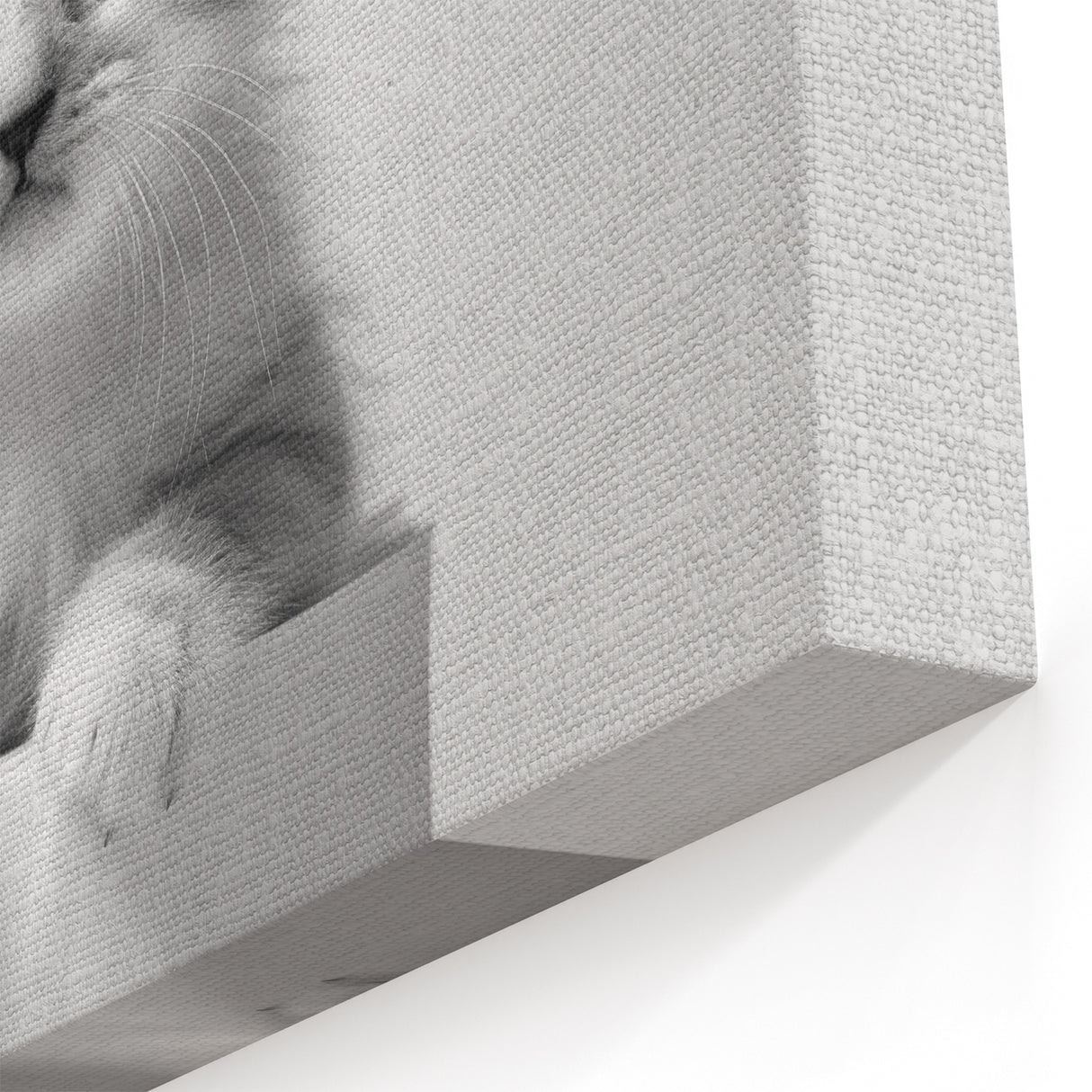 Bathroom Wall Art: Adorable Kitten on Toilet Roll – Modern Decor