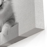 Bathroom Wall Art: Adorable Kitten on Toilet Roll – Modern Decor