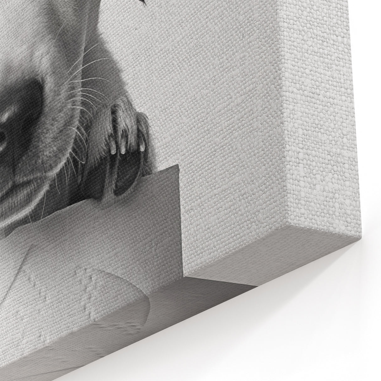 Bathroom Wall Art - Playful Puppy on Toilet Roll Modern Decor