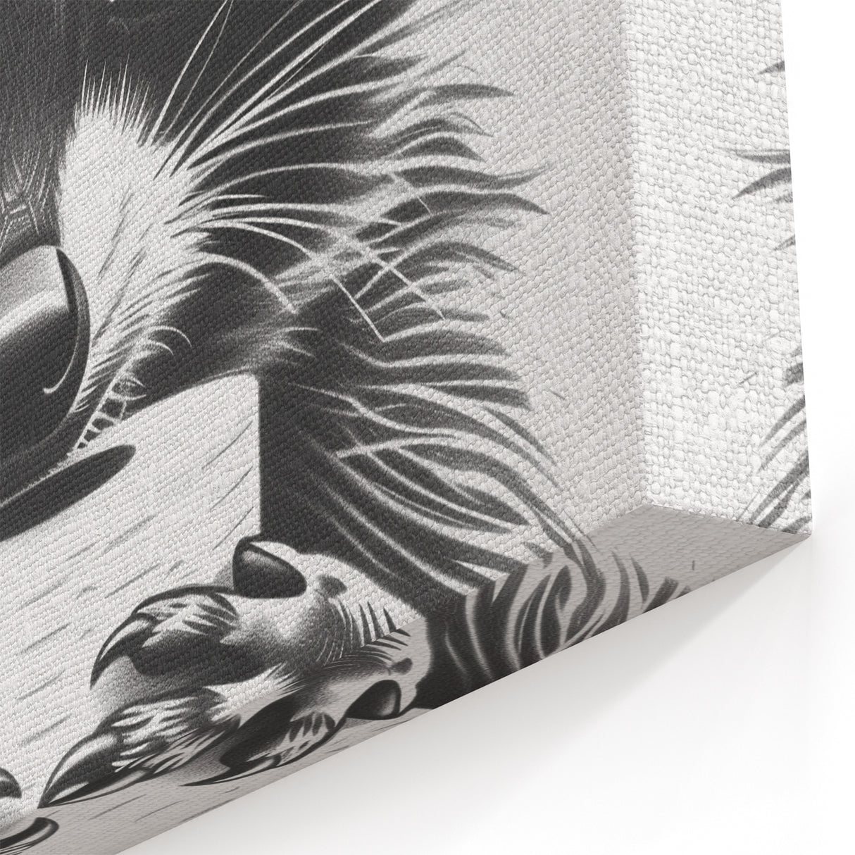 Adorable Raccoon Bathroom Wall Art - Black and White Bathroom Decor