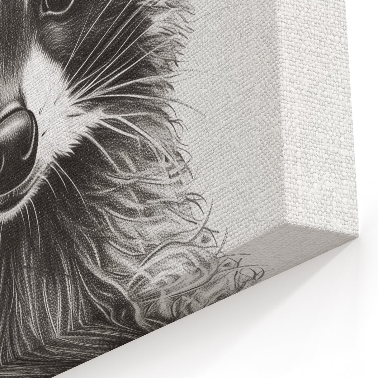 Adorable Raccoon Bathroom Wall Art - Fun Black and White Decor
