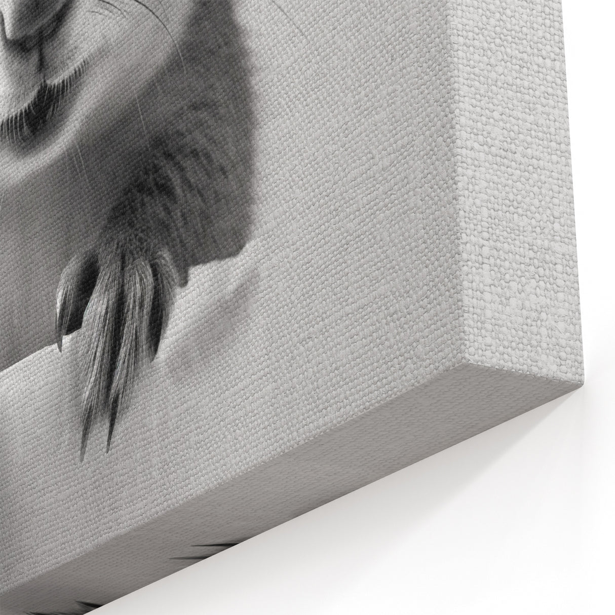 Cute Squirrel Bathroom Wall Art - Fun Black and White Bathroom Decor