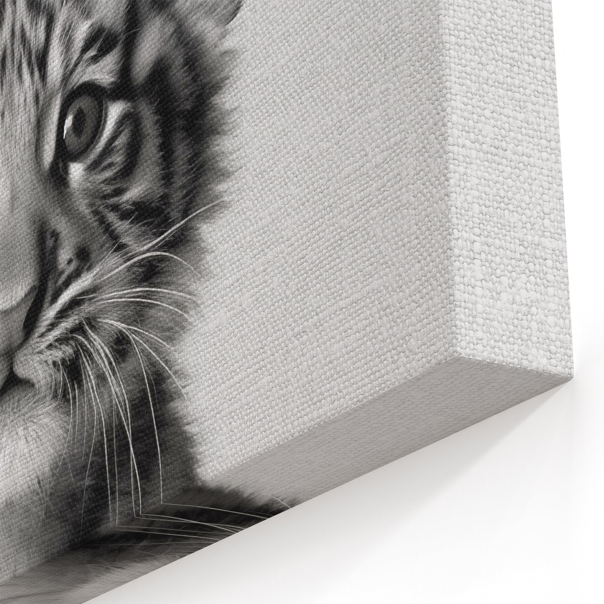 Adorable Tiger Cub Bathroom Wall Art - Fun Black and White Decor