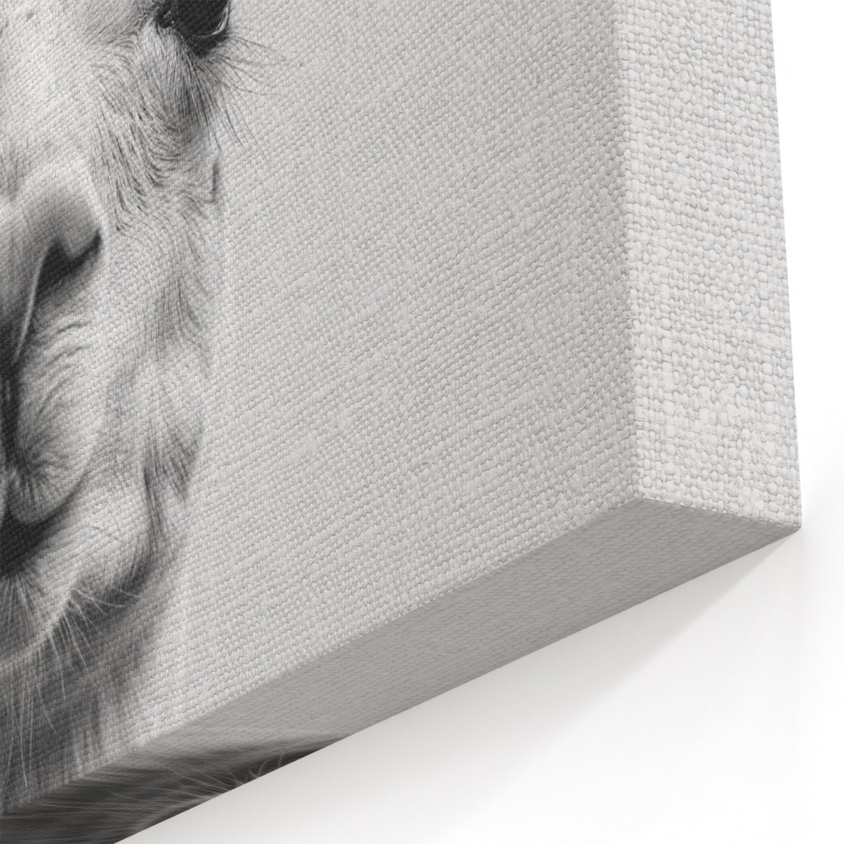 Adorable Llama Bathroom Wall Art - Fun Black and White Decor