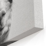 Adorable Llama Bathroom Wall Art - Fun Black and White Decor