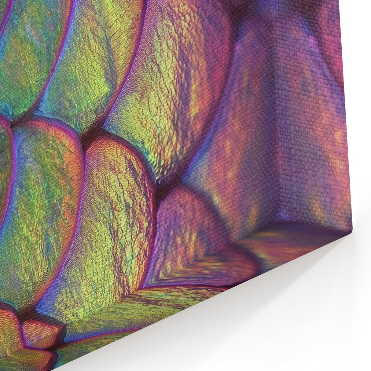 Shimmering Snake Scales Wildlife Photography - Animal Wall Art