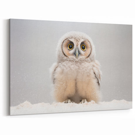 Adorable Baby Owl Wall Art - Perfect for Kids Room Decor