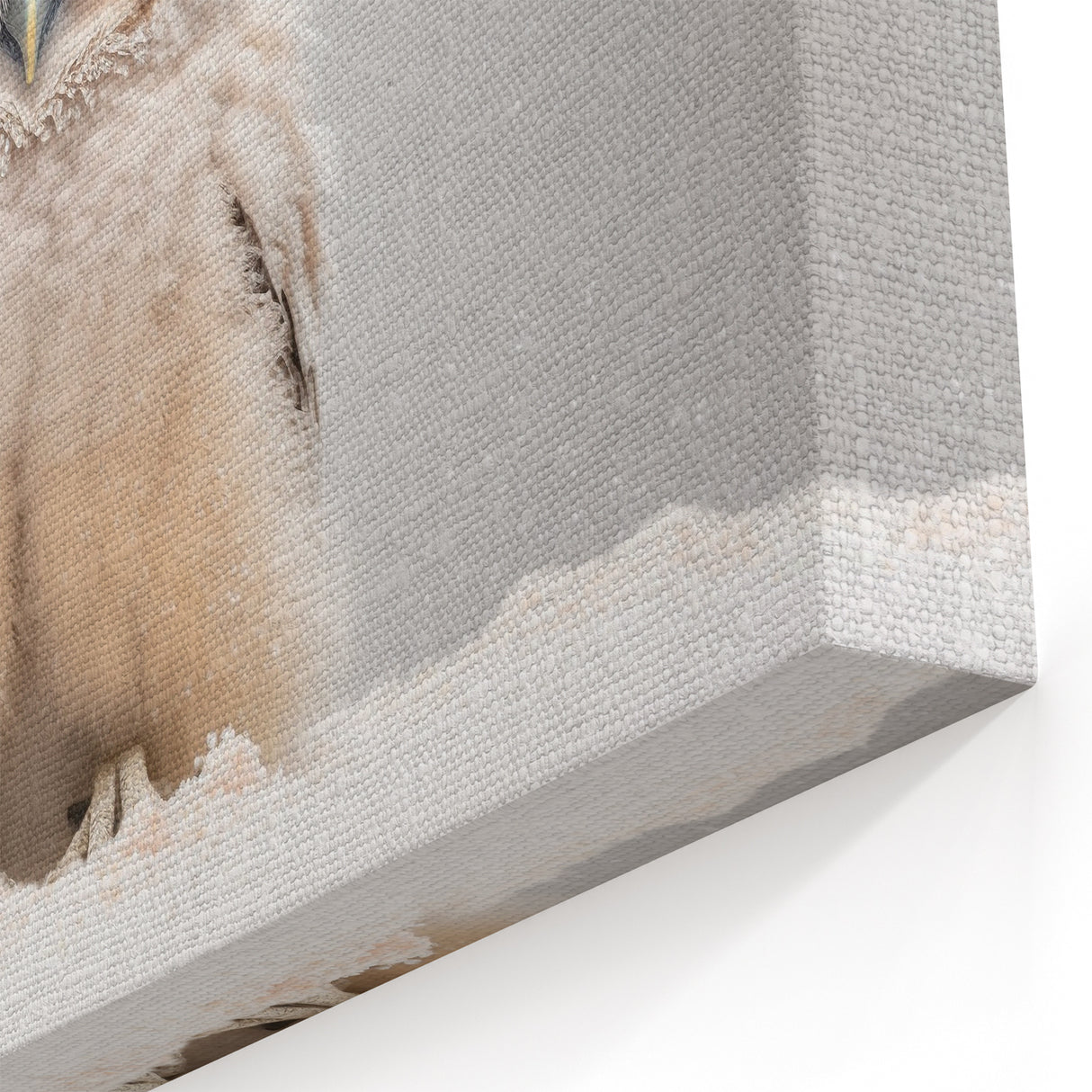 Adorable Baby Owl Wall Art - Perfect for Kids Room Decor