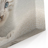 Adorable Kitten Wall Art - Perfect for Kids Room Decor