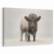 Adorable Baby Bison Wall Art - Perfect for Kids Room Decor