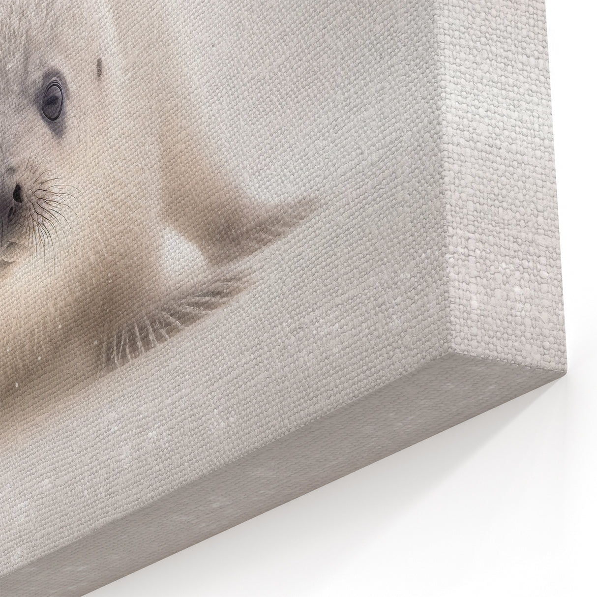 Adorable Baby Seal Wall Art - Perfect for Kids Room Decor
