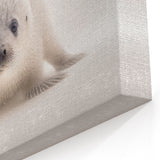 Adorable Baby Seal Wall Art - Perfect for Kids Room Decor