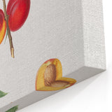 Realistic Wall Art: Botanical Peach Illustration Realism Art Canvas