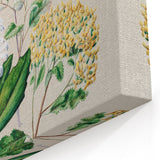 Fine Art Realism: Antique Botanical Floral Illustration Wall Art Canvas