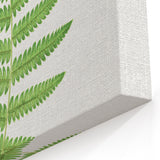 Fine Art Realism: Botanical Fern Illustration Realism Wall Art Canvas