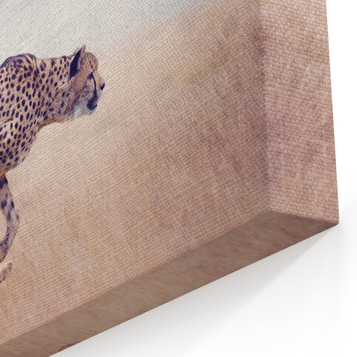 Majestic Cheetah Wildlife Art - Animal Wall Art for Home Decor
