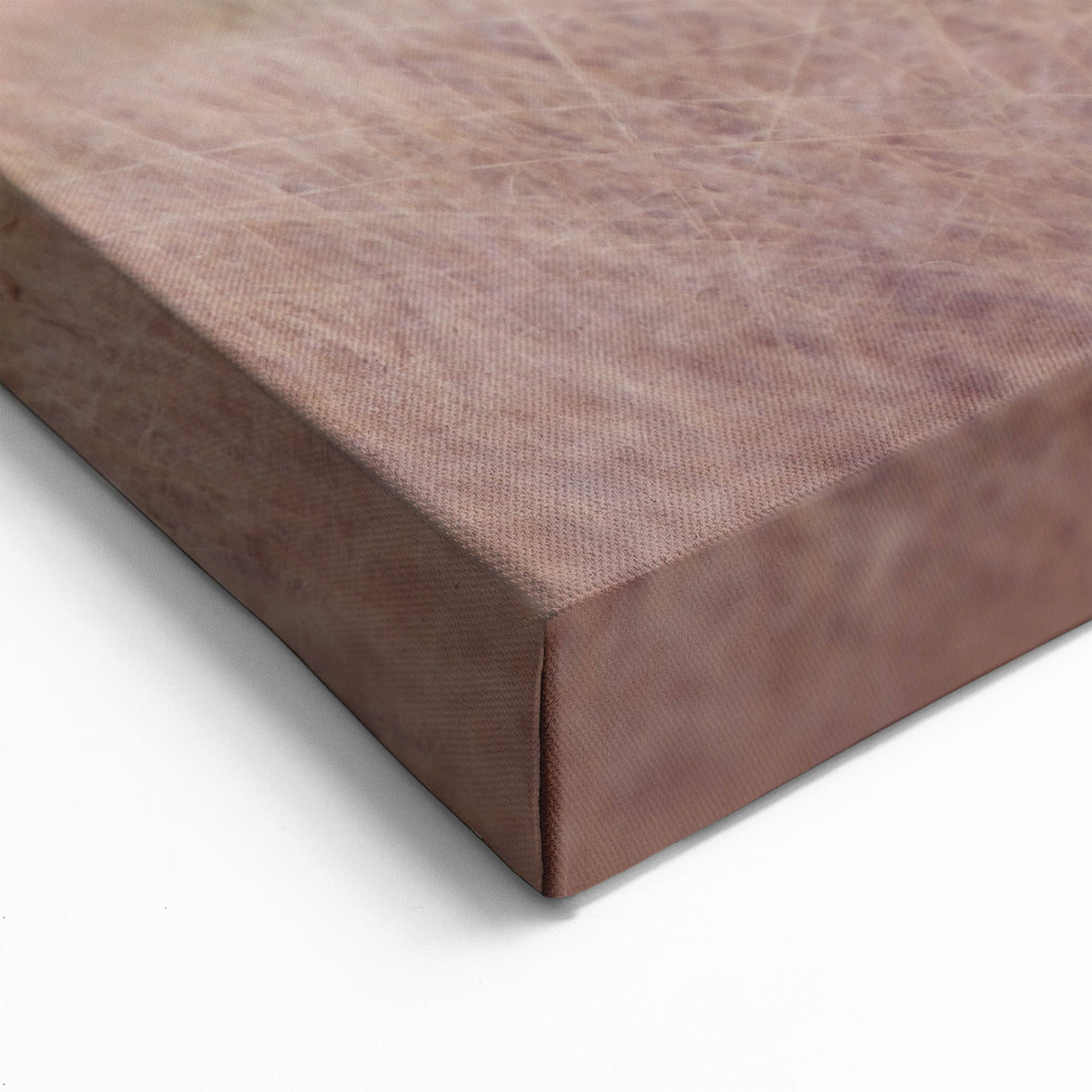 Majestic Cheetah Wildlife Art - Animal Wall Art for Home Decor