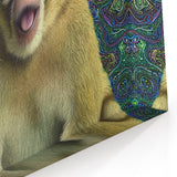 Expressive Monkey Illustration - Wildlife Art for Home Decor