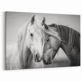 Tender Horses in Black and White - Wildlife Photography Wall Art